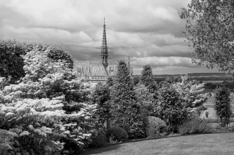 Sous le signe du végétal : à la rencontre des jardins et refuges botaniques du canton de Cloyes
