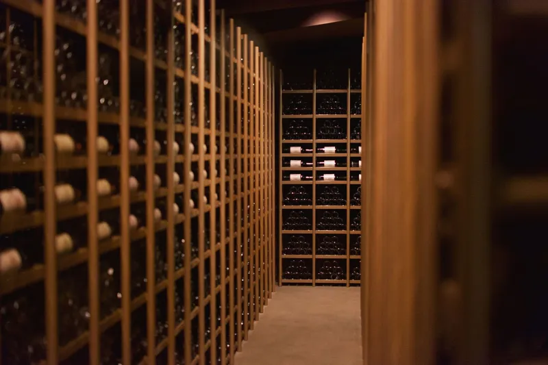 De la vigne au verre : plongée au cœur des domaines viticoles du canton de Cloyes-sur-le-Loir