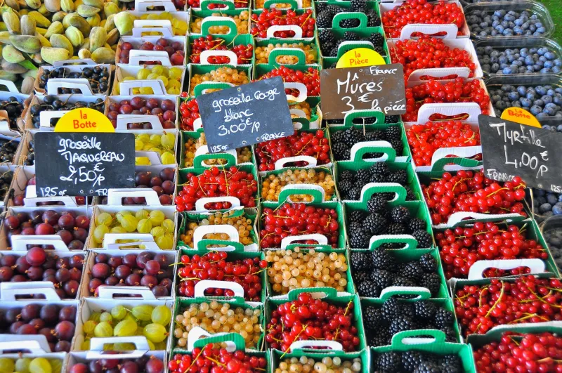 Visages de la terre : à la rencontre des hommes et des femmes qui cultivent le canton de Cloyes